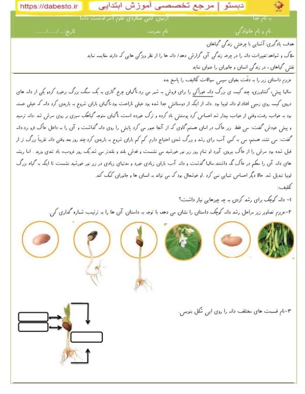 آزمون كتبي عملكردي علوم دوم ابتدایی سرگذشت دانه