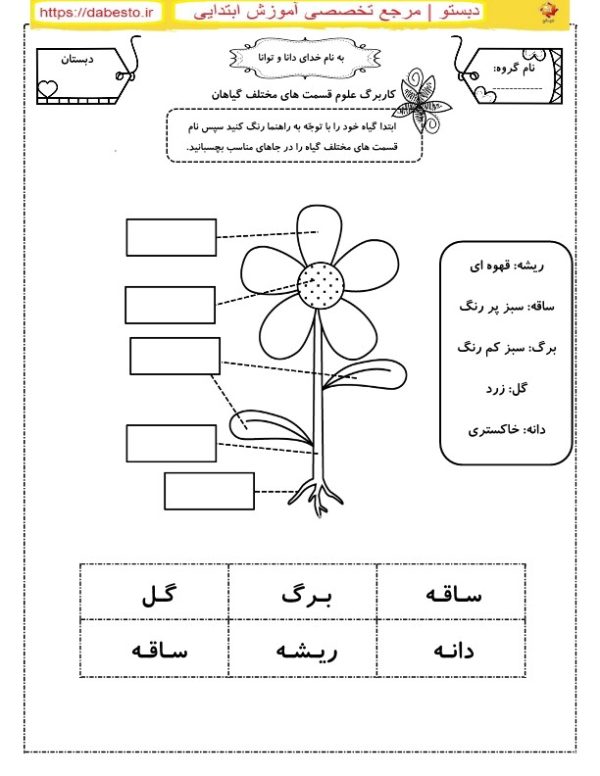 کاربرگ علوم اول ابتدایی قسمت های مختلف گیاهان